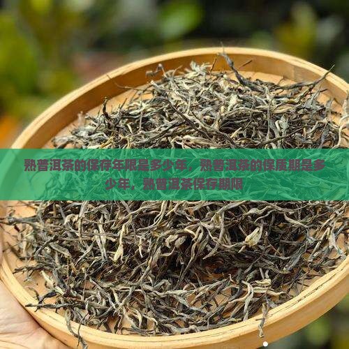 熟普洱茶的保存年限是多少年