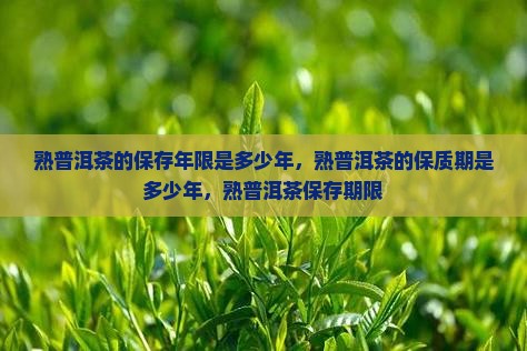 熟普洱茶的保存年限是多少年