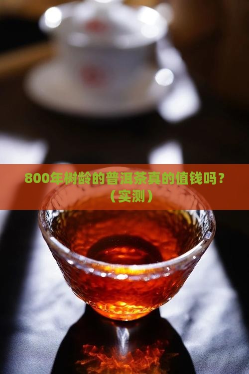 普洱茶800年树龄