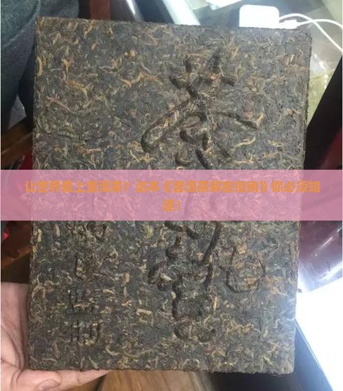 让世界认识地道的普洱茶