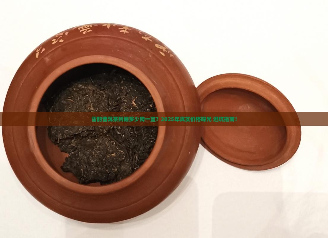 雪韵普洱茶多少钱一盒