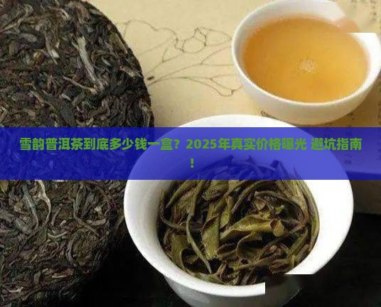 雪韵普洱茶多少钱一盒
