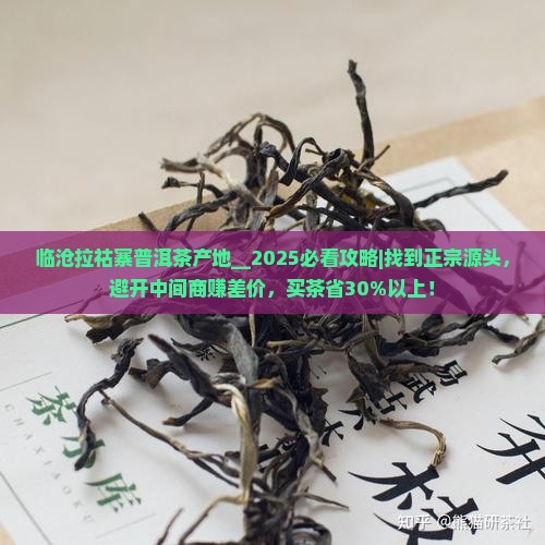 临沧拉祜寨普洱茶产地