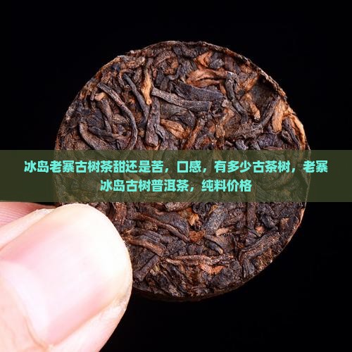 冰岛老寨古树茶甜