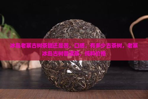 冰岛老寨古树茶甜