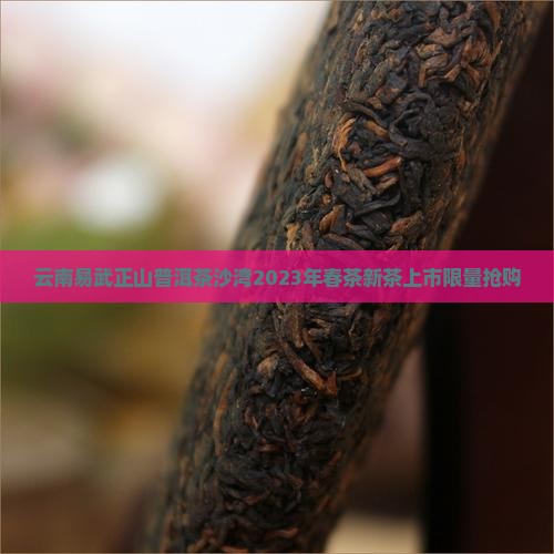 云南易武正山普洱茶沙湾