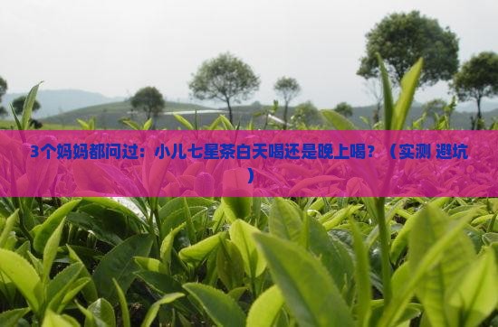 小儿七星茶白天喝还是晚上喝