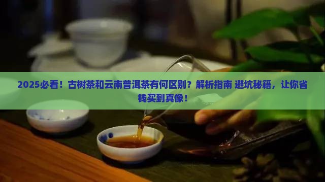 古树茶和云南普洱茶的区别