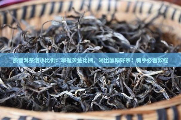 熟普洱茶泡水比例