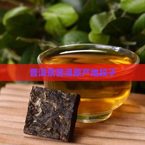 普洱茶原产地段子