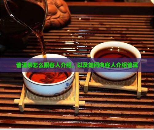 普洱茶怎么跟客人介绍