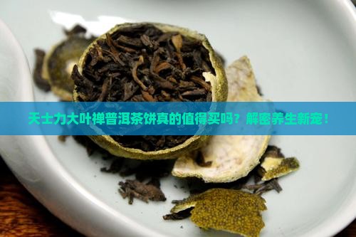 天士力大叶禅普洱茶饼
