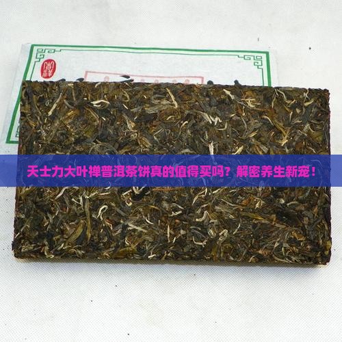 天士力大叶禅普洱茶饼