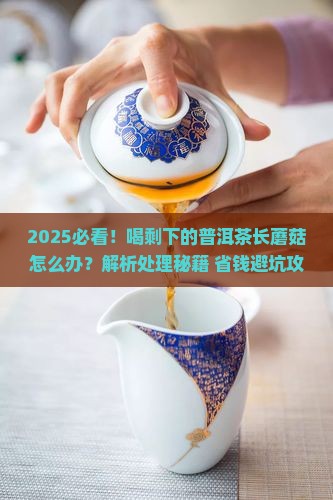 喝剩下的普洱茶长蘑菇怎么办
