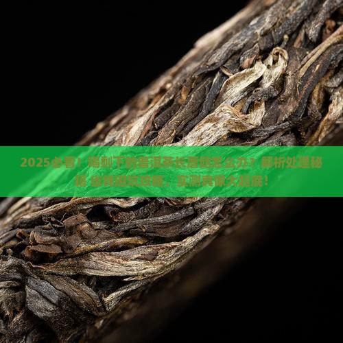 喝剩下的普洱茶长蘑菇怎么办