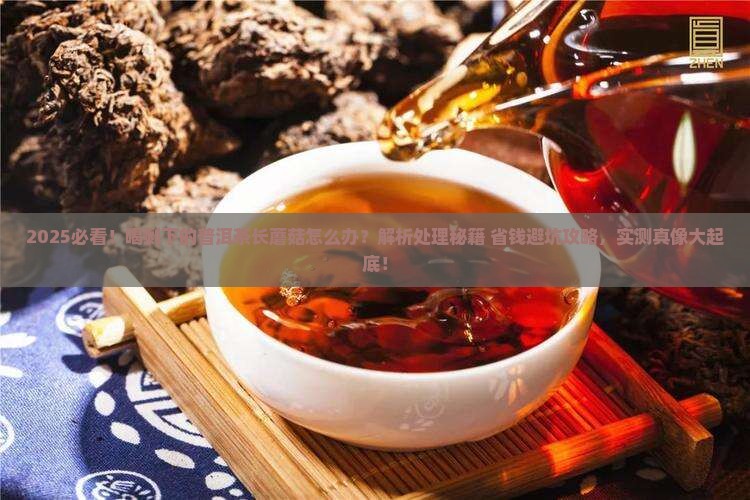 喝剩下的普洱茶长蘑菇怎么办
