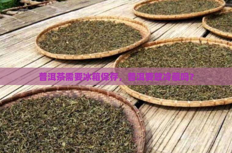 普洱茶是不是要放冷藏