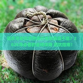 福庆号老班章熟茶价格