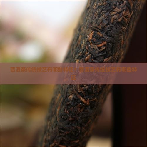 普洱茶传统技艺有哪些特征