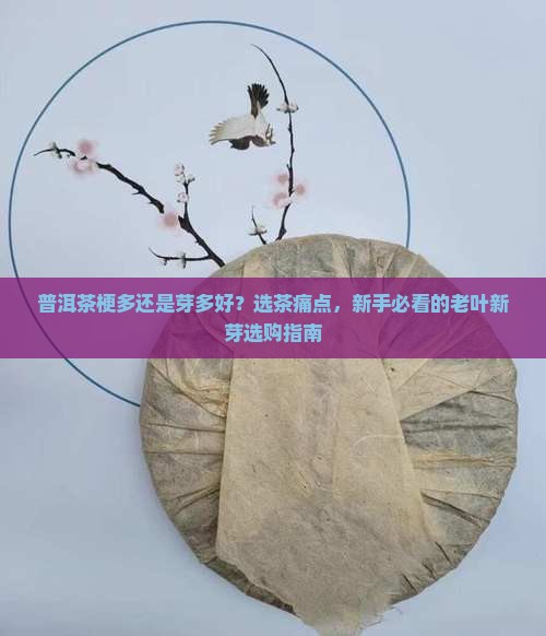 普洱茶梗多还是芽多好