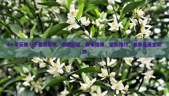 06年云南七子普洱茶饼