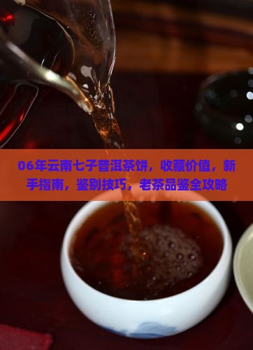 06年云南七子普洱茶饼
