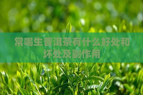 常喝生普洱茶有什么好处
