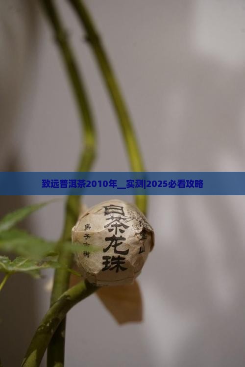 致远普洱茶2010年