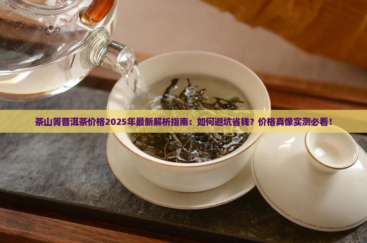 茶山箐普洱茶价格