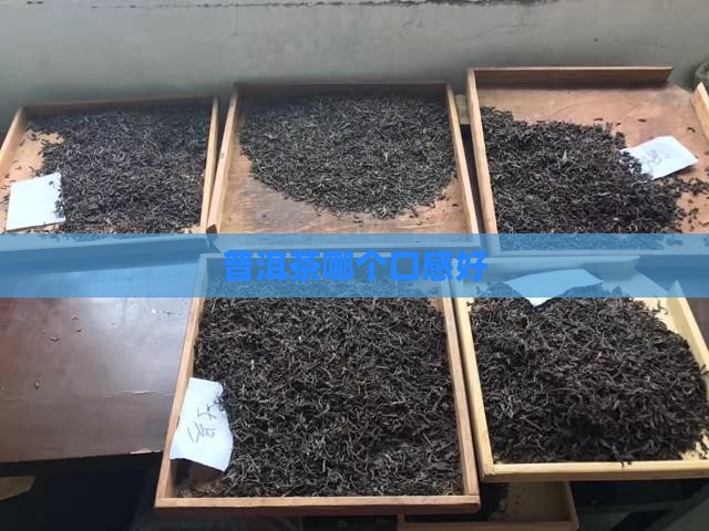 普洱茶品牌哪个口感好