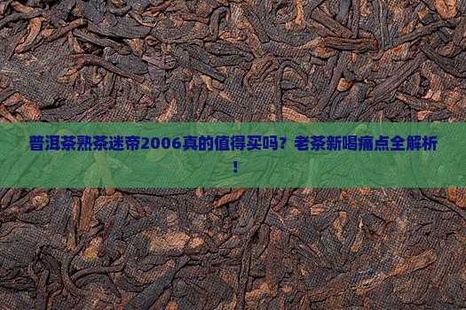 普洱茶熟茶迷帝2006