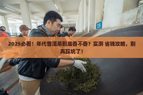年代普洱茶好不好