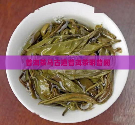 普洱茶马古道明普阁