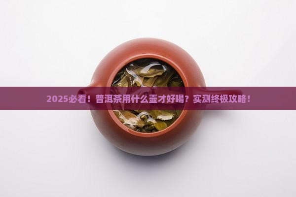 普洱茶用什么茶壶好喝