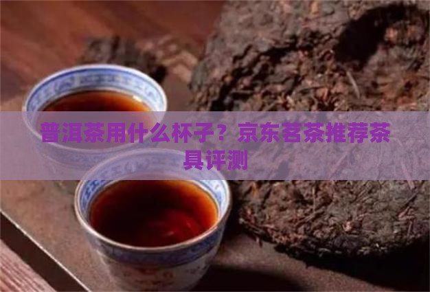 普洱茶用什么杯