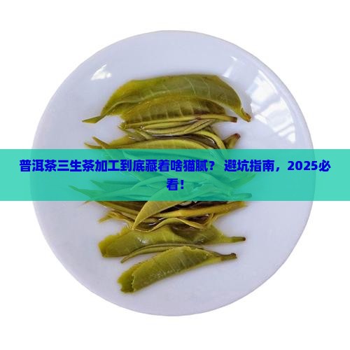 普洱茶三生茶加工弊端讲解