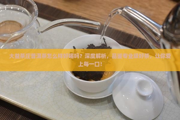 大益茶庄普洱茶怎么样好喝吗