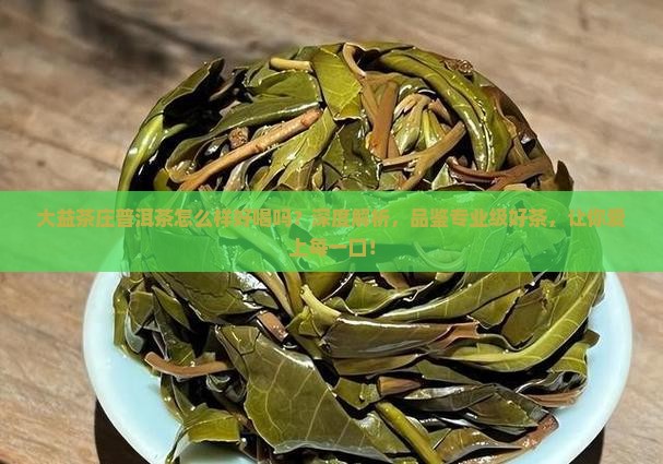 大益茶庄普洱茶怎么样好喝吗