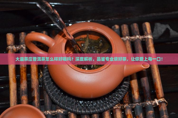 大益茶庄普洱茶怎么样好喝吗