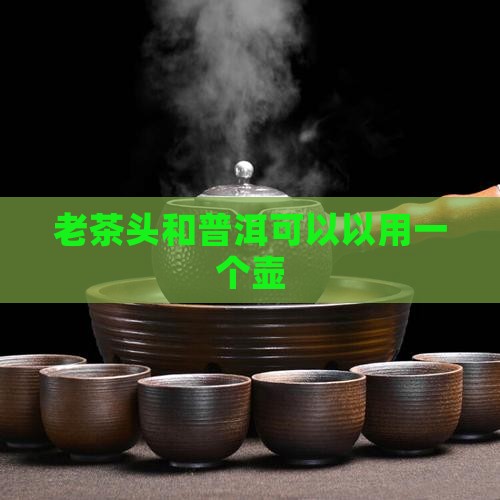 老茶头和普洱可以以用一个壶