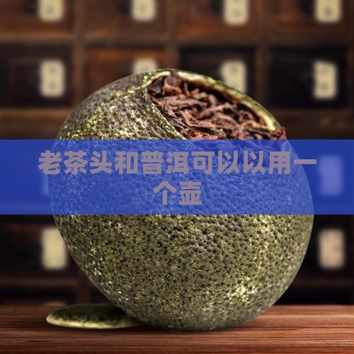 老茶头和普洱可以以用一个壶