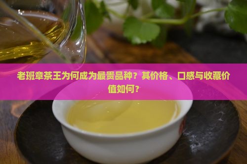 老班章茶王为何成为最贵品种？其价格、口感与收藏价值如何？