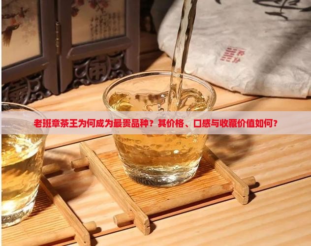 老班章茶王为何成为最贵品种？其价格、口感与收藏价值如何？