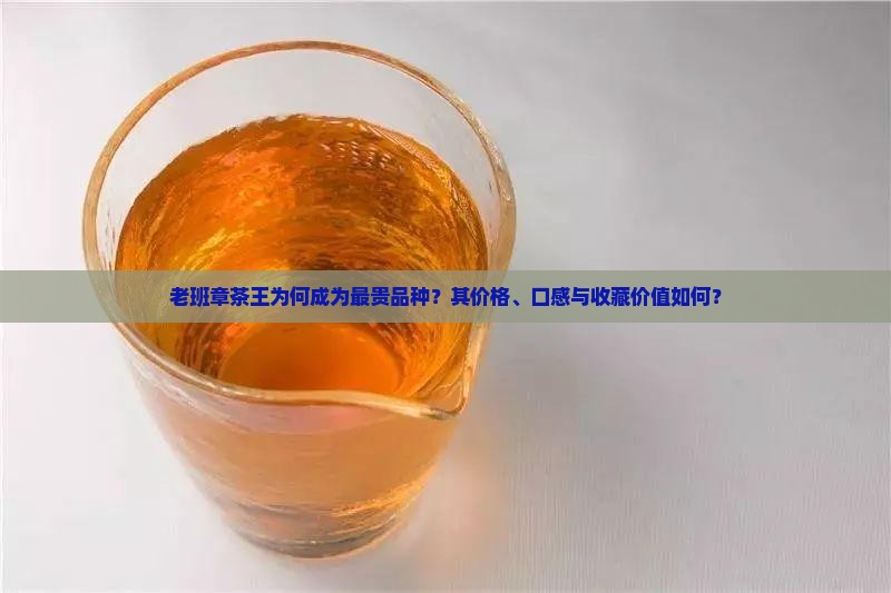 老班章茶王为何成为最贵品种？其价格、口感与收藏价值如何？