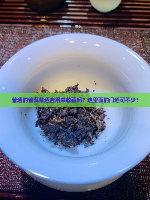 普通的普洱茶适合用来收藏吗？这里面的门道可不少！