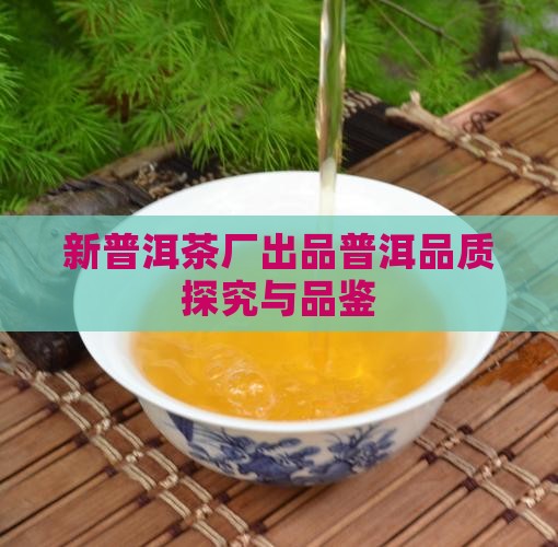 新普洱茶厂出品普洱品质探究与品鉴