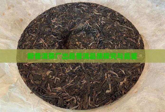 新普洱茶厂出品普洱品质探究与品鉴
