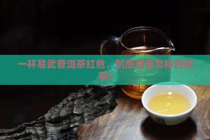 一杯易武普洱茶红色，到底藏着怎样的故事？