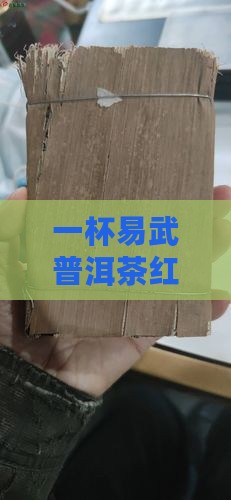 一杯易武普洱茶红色，到底藏着怎样的故事？