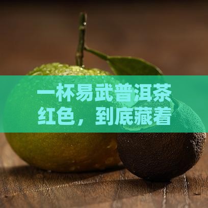 一杯易武普洱茶红色，到底藏着怎样的故事？